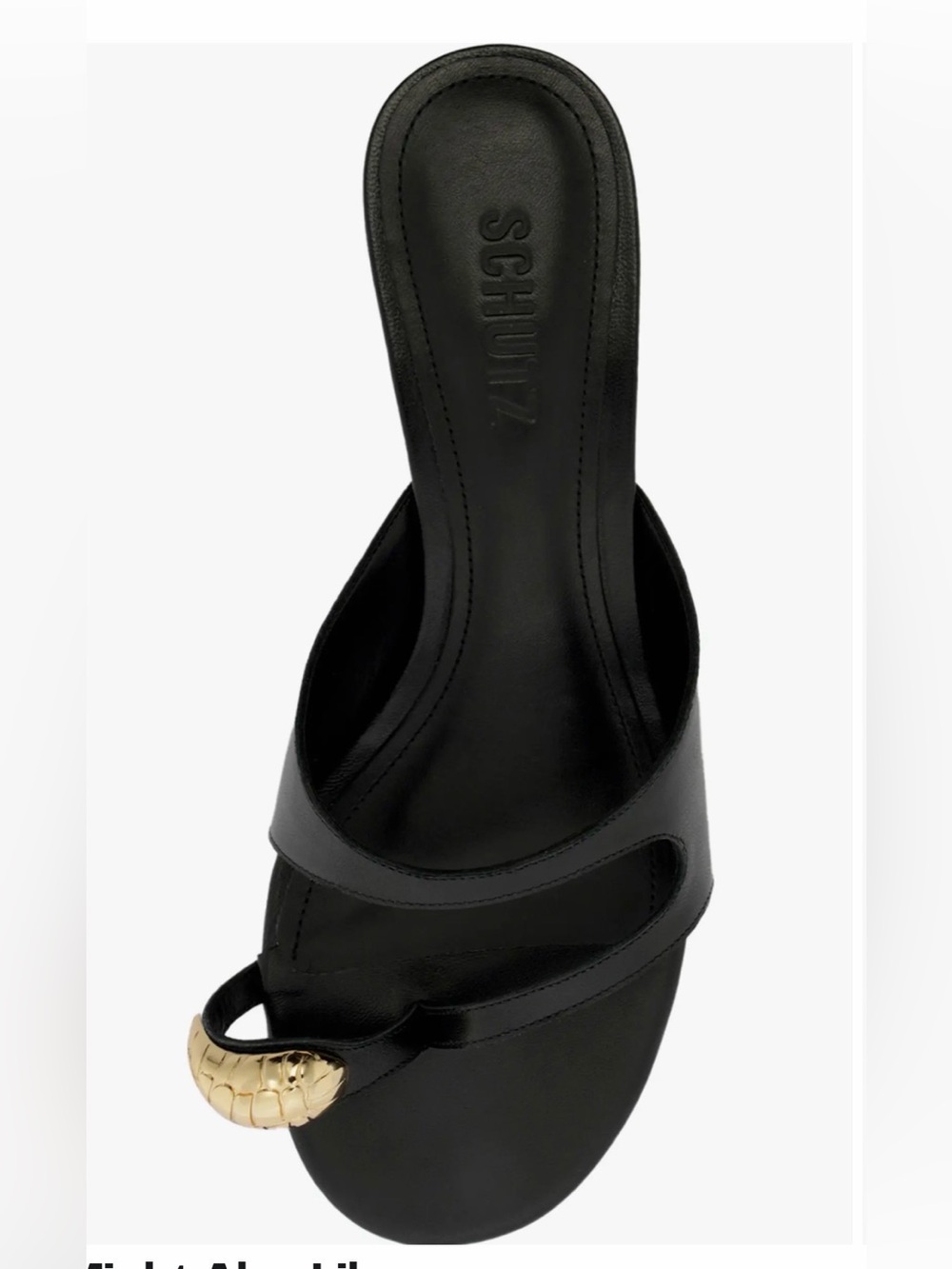 SCHUTZ Elliote Kitten Heel Slide Sandal
Schutz